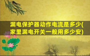漏电保护器动作电流是多少(家里漏电开关一般用多少安)