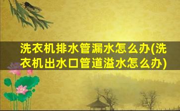 洗衣机排水管漏水怎么办(洗衣机出水口管道溢水怎么办)