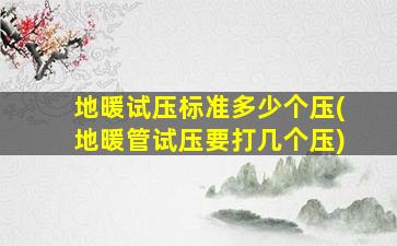 地暖试压标准多少个压(地暖管试压要打几个压)
