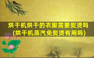 烘干机烘干的衣服需要熨烫吗(烘干机蒸汽免熨烫有用吗)
