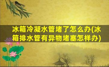 冰箱冷凝水管堵了怎么办(冰箱排水管有异物堵塞怎样办)