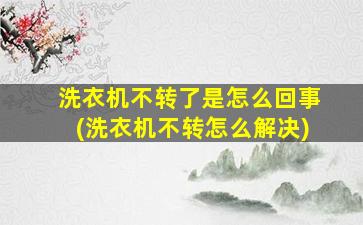 洗衣机不转了是怎么回事(洗衣机不转怎么解决)