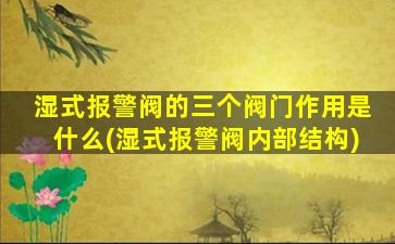 湿式报警阀的三个阀门作用是什么(湿式报警阀内部结构)