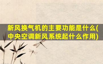 新风换气机的主要功能是什么(中央空调新风系统起什么作用)