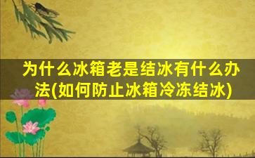 为什么冰箱老是结冰有什么办法(如何防止冰箱冷冻结冰)