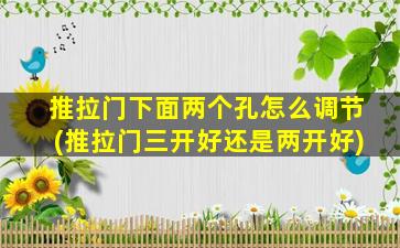 推拉门下面两个孔怎么调节(推拉门三开好还是两开好)