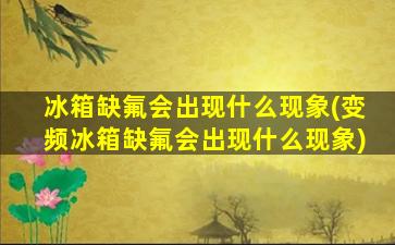 冰箱缺氟会出现什么现象(变频冰箱缺氟会出现什么现象)