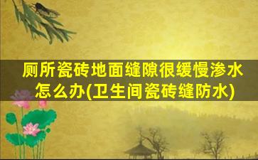 厕所瓷砖地面缝隙很缓慢渗水怎么办(卫生间瓷砖缝防水)