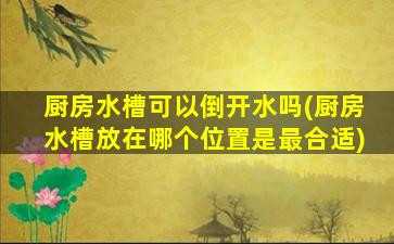 厨房水槽可以倒开水吗(厨房水槽放在哪个位置是最合适)