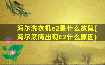海尔洗衣机e2是什么故障(海尔滚筒出现E2什么原因)