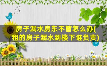 房子漏水房东不管怎么办(租的房子漏水到楼下谁负责)