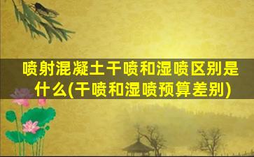 喷射混凝土干喷和湿喷区别是什么(干喷和湿喷预算差别)