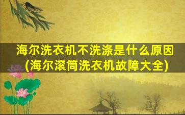 海尔洗衣机不洗涤是什么原因(海尔滚筒洗衣机故障大全)