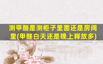 测甲醛是测柜子里面还是房间里(甲醛白天还是晚上释放多)