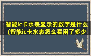 智能ic卡水表显示的数字是什么(智能ic卡水表怎么看用了多少水)