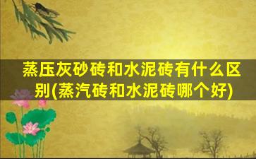 蒸压灰砂砖和水泥砖有什么区别(蒸汽砖和水泥砖哪个好)