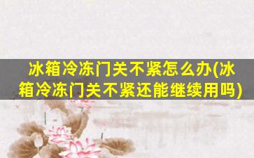 冰箱冷冻门关不紧怎么办(冰箱冷冻门关不紧还能继续用吗)