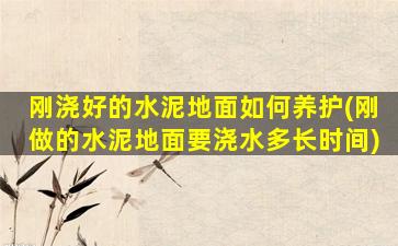 刚浇好的水泥地面如何养护(刚做的水泥地面要浇水多长时间)