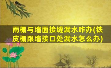 雨棚与墙面接缝漏水咋办(铁皮棚跟墙接口处漏水怎么办)