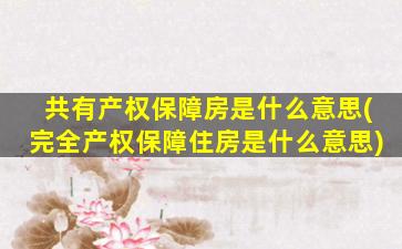 共有产权保障房是什么意思(完全产权保障住房是什么意思)