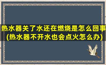 热水器关了水还在燃烧是怎么回事(热水器不开水也会点火怎么办)