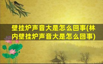 壁挂炉声音大是怎么回事(林内壁挂炉声音大是怎么回事)