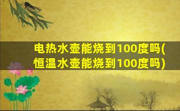 电热水壶能烧到100度吗(恒温水壶能烧到100度吗)