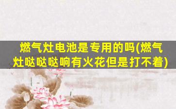 燃气灶电池是专用的吗(燃气灶哒哒哒响有火花但是打不着)