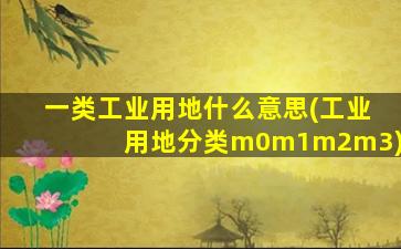 一类工业用地什么意思(工业用地分类m0m1m2m3)