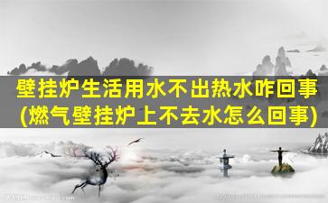 壁挂炉生活用水不出热水咋回事(燃气壁挂炉上不去水怎么回事)