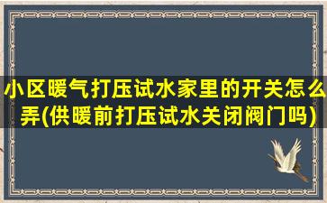 小区暖气打压试水家里的开关怎么弄(供暖前打压试水关闭阀门吗)
