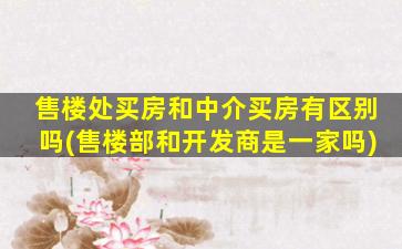 售楼处买房和中介买房有区别吗(售楼部和开发商是一家吗)