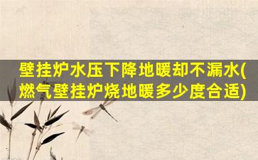 壁挂炉水压下降地暖却不漏水(燃气壁挂炉烧地暖多少度合适)