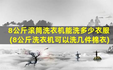 8公斤滚筒洗衣机能洗多少衣服(8公斤洗衣机可以洗几件棉衣)