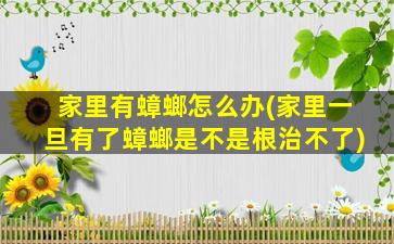 家里有蟑螂怎么办(家里一旦有了蟑螂是不是根治不了)
