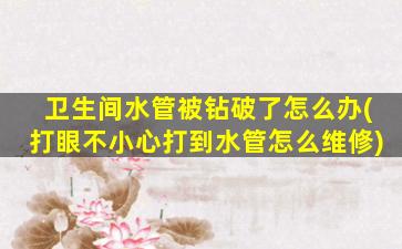 卫生间水管被钻破了怎么办(打眼不小心打到水管怎么维修)