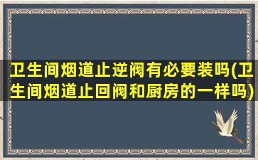 卫生间烟道止逆阀有必要装吗(卫生间烟道止回阀和厨房的一样吗)