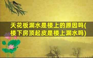 天花板漏水是楼上的原因吗(楼下房顶起皮是楼上漏水吗)