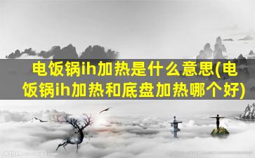 电饭锅ih加热是什么意思(电饭锅ih加热和底盘加热哪个好)
