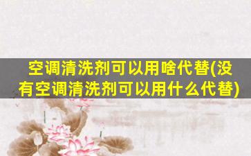 空调清洗剂可以用啥代替(没有空调清洗剂可以用什么代替)