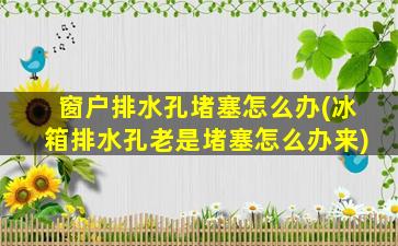 窗户排水孔堵塞怎么办(冰箱排水孔老是堵塞怎么办来)