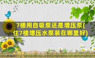 7楼用自吸泵还是增压泵(住7楼增压水泵装在哪里好)