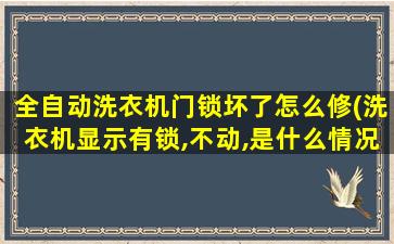 全自动洗衣机门锁坏了怎么修(洗衣机显示有锁,不动,是什么情况)