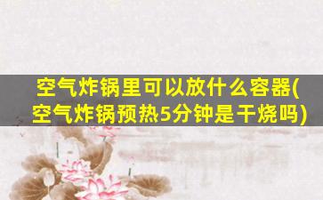 空气炸锅里可以放什么容器(空气炸锅预热5分钟是干烧吗)