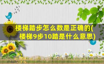 楼梯踏步怎么数是正确的(楼梯9步10踏是什么意思)