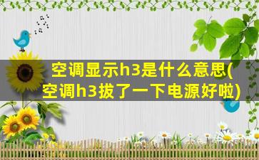 空调显示h3是什么意思(空调h3拔了一下电源好啦)