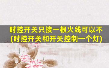 时控开关只接一根火线可以不(时控开关和开关控制一个灯)