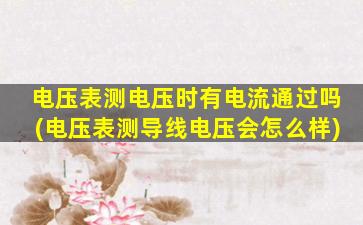 电压表测电压时有电流通过吗(电压表测导线电压会怎么样)