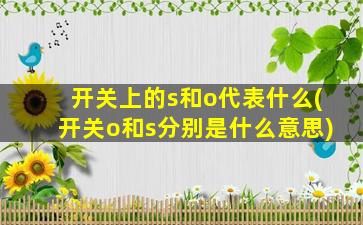 开关上的s和o代表什么(开关o和s分别是什么意思)
