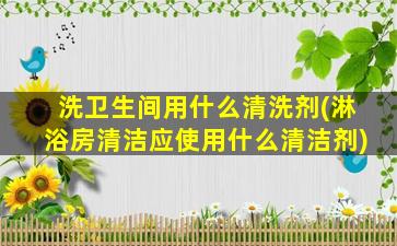 洗卫生间用什么清洗剂(淋浴房清洁应使用什么清洁剂)